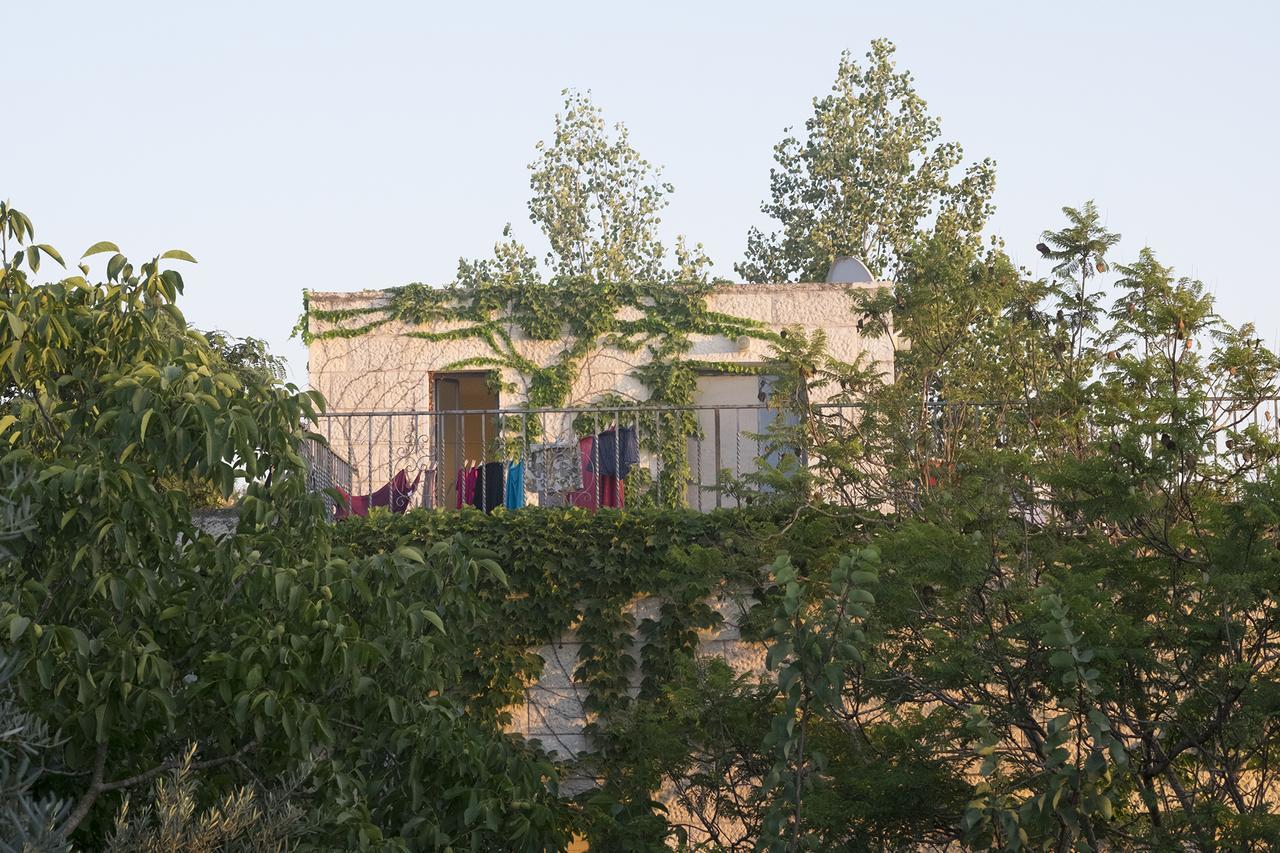 צור הדסה Sweet Home In Jerusalem Mountains מראה חיצוני תמונה